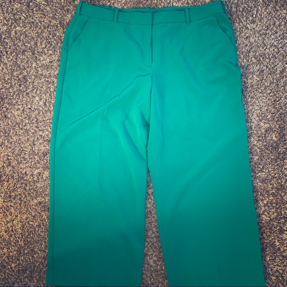 LANE BRYANT Pink Wide Leg Trouser